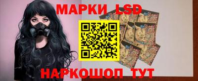 гидропоника Славянск-на-Кубани