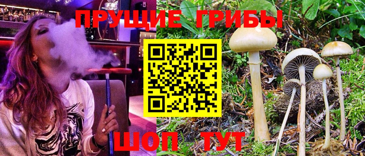Галлюциногенные грибы MAGIC MUSHROOMS  Галлюциногенные грибы мицелий  Вход с VPN  Полевской 